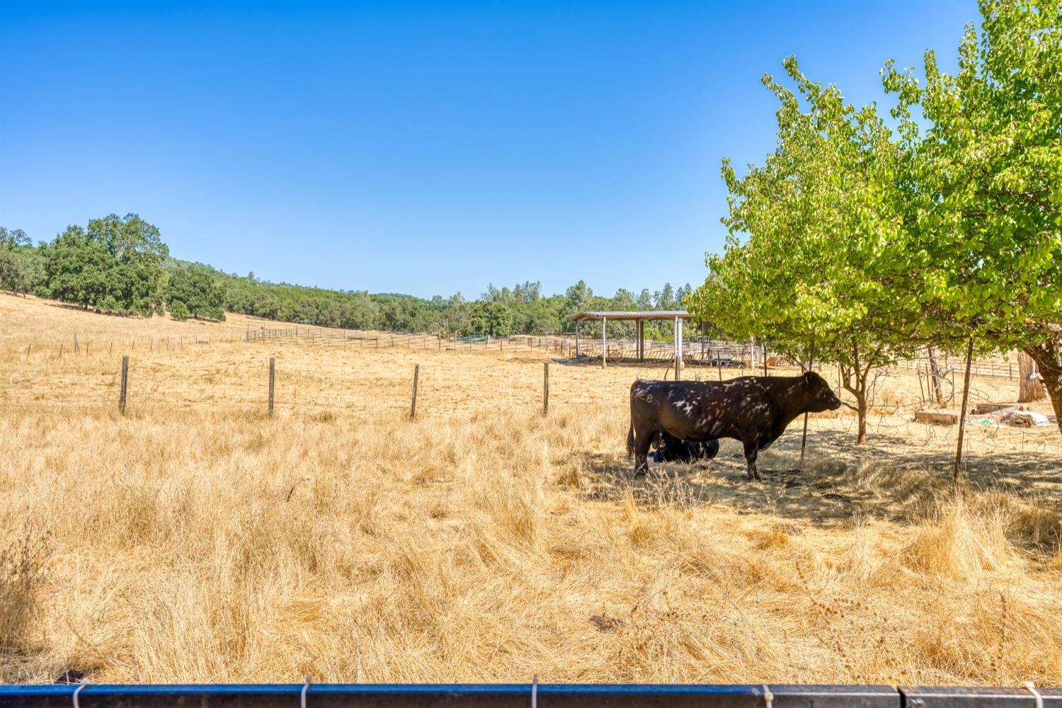 Semor Drive, Shingle Springs, California image 30