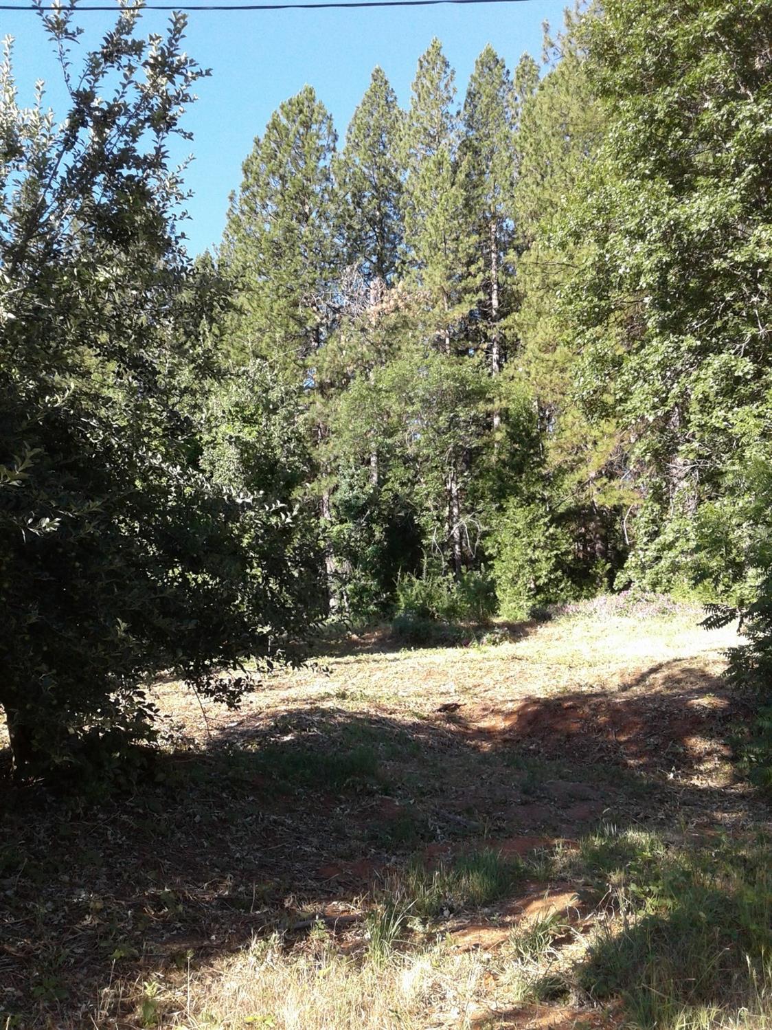 W Olympia Drive, Grass Valley, California image 3