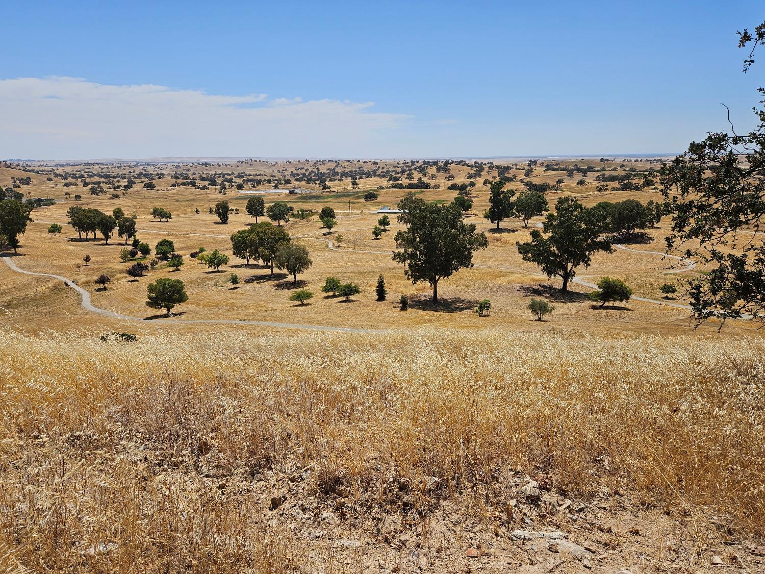 Caracol Circle, La Grange, California image 7