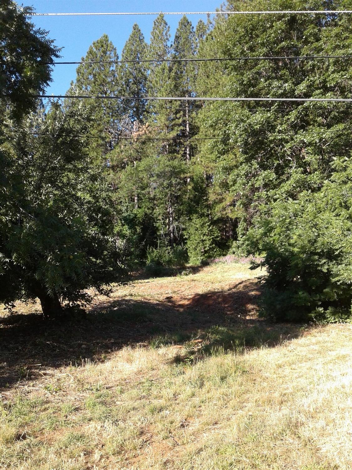 W Olympia Drive, Grass Valley, California image 2