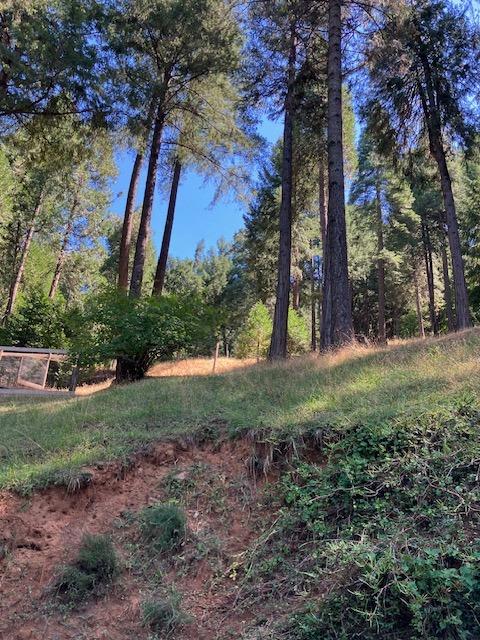 Sierra Springs Drive, Pollock Pines, California image 18