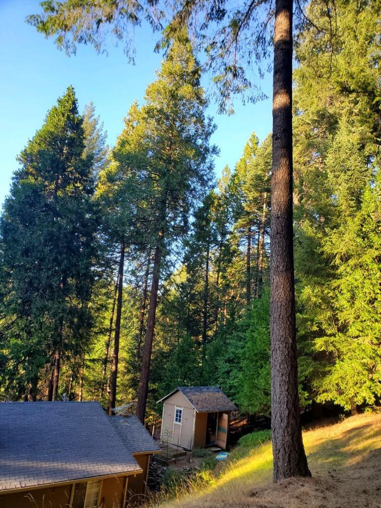 Sierra Springs Drive, Pollock Pines, California image 32