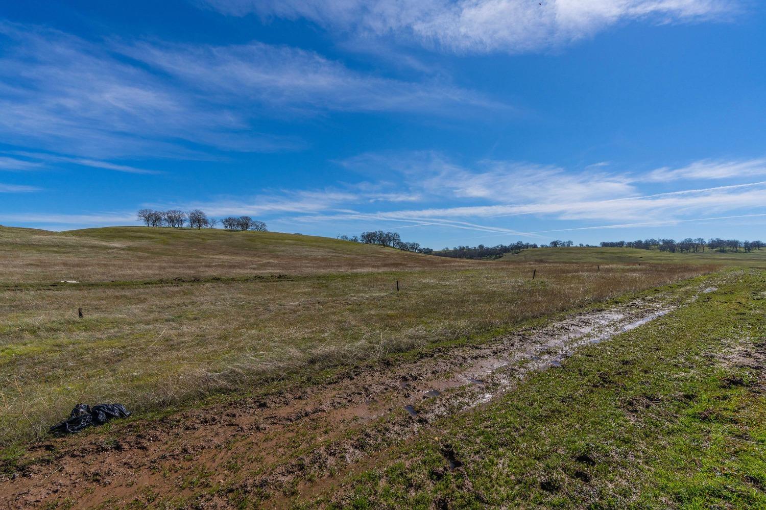 Ione Road, Sloughhouse, California image 8