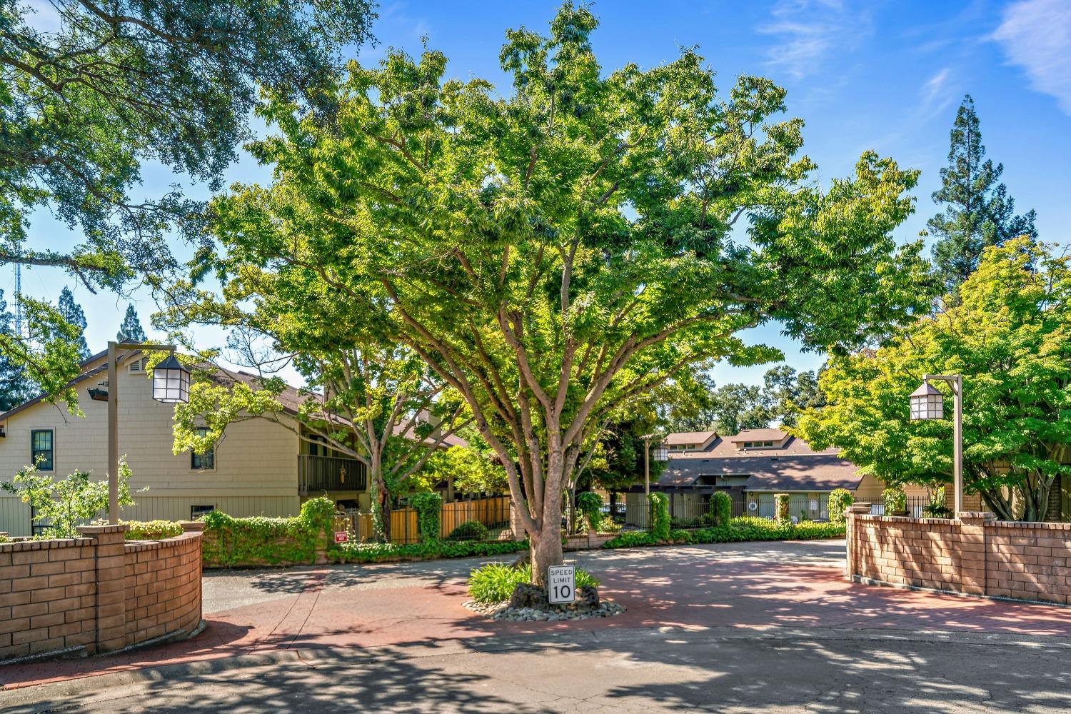Photo #33: 223084511 Listing: Photo #33