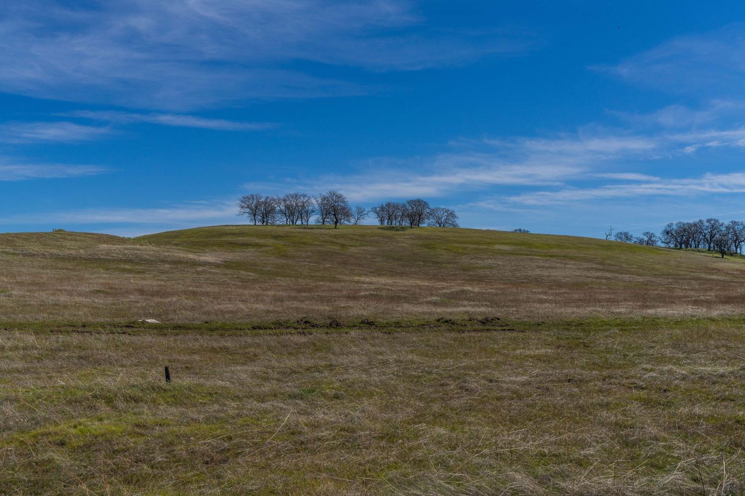 Ione Road, Sloughhouse, California image 3