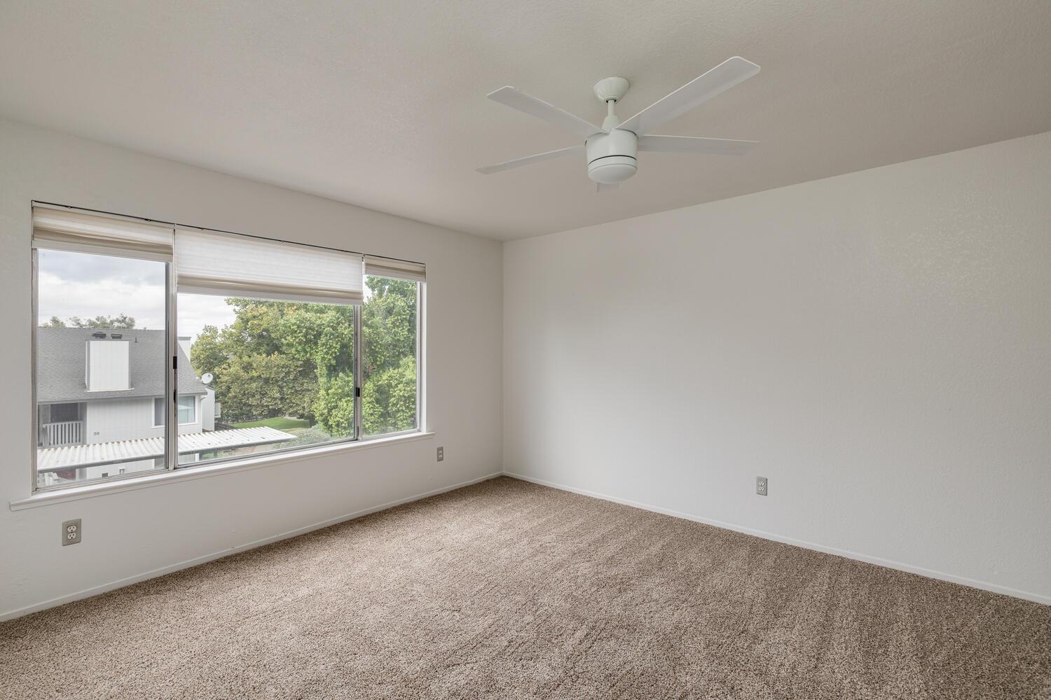 Photo #16: 223081335 Listing: Photo #16