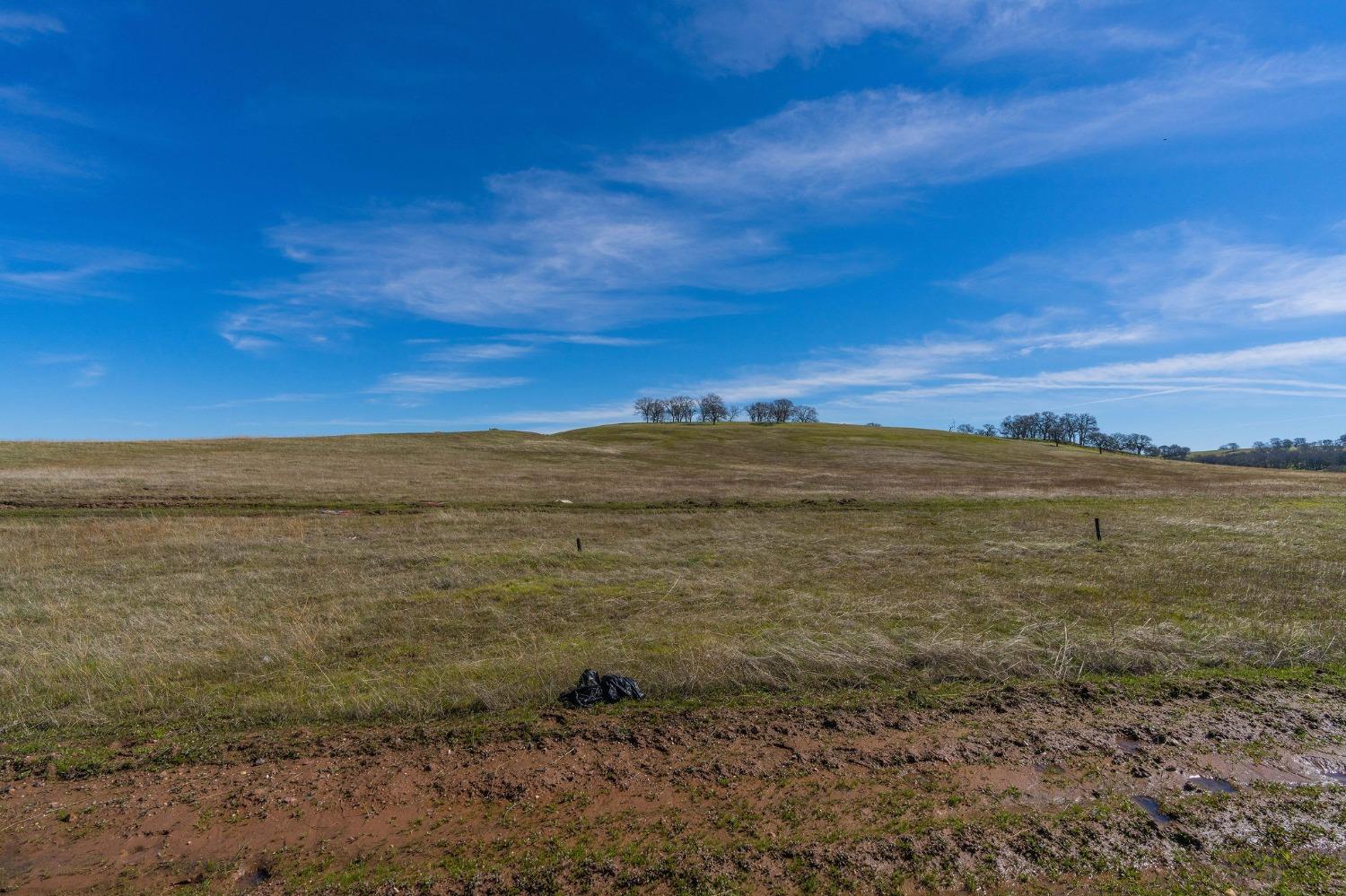 Ione Road, Sloughhouse, California image 6