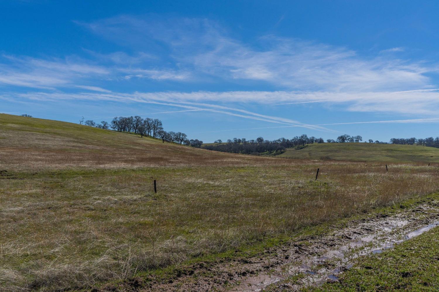 Ione Road, Sloughhouse, California image 5