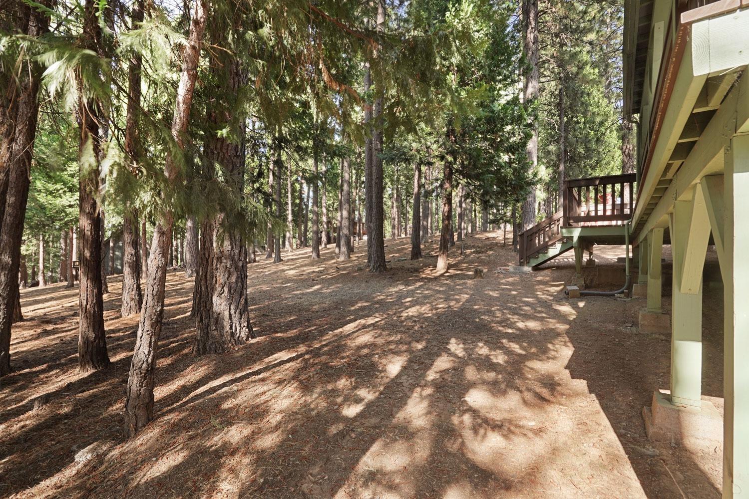 Lupin Lane, Pollock Pines, California image 38