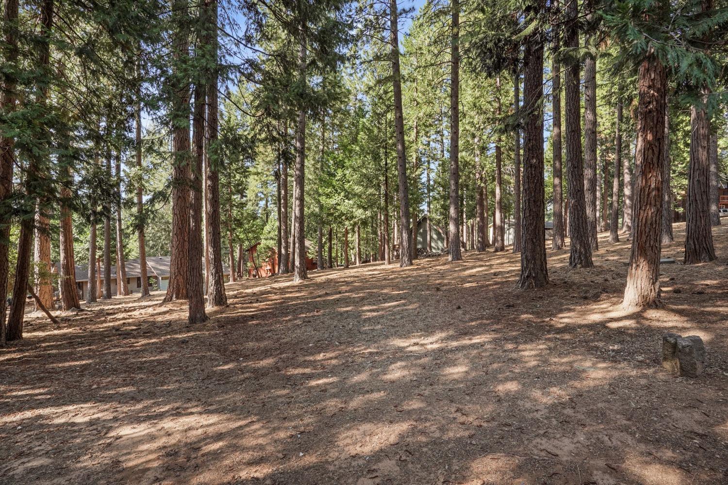 Lupin Lane, Pollock Pines, California image 36