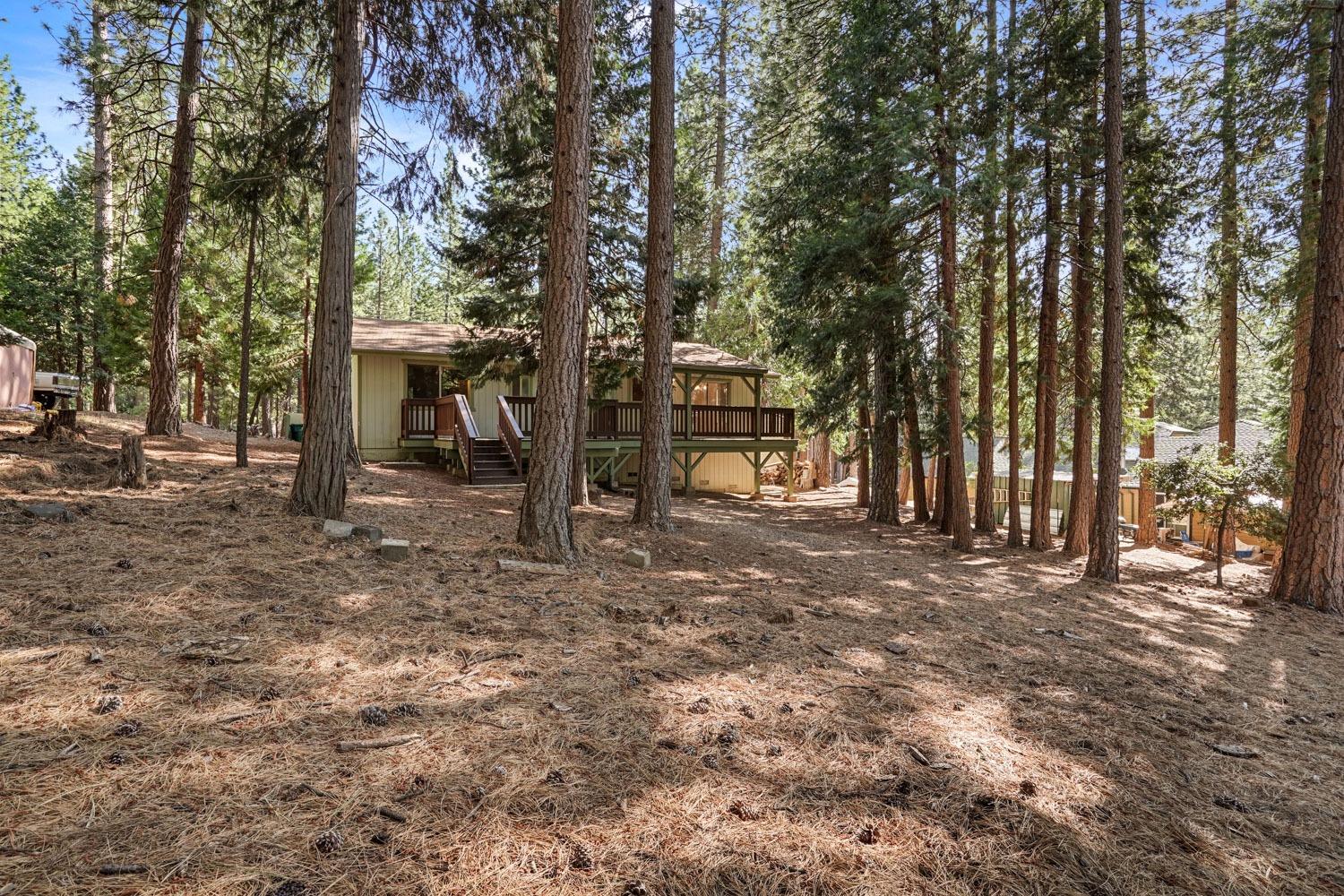 Lupin Lane, Pollock Pines, California image 40