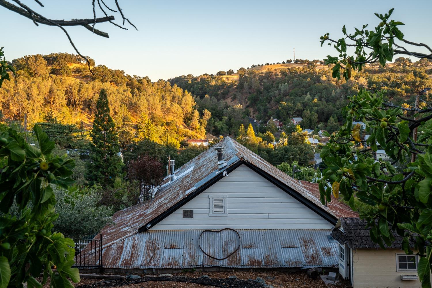 Church Street, Amador City, California image 38