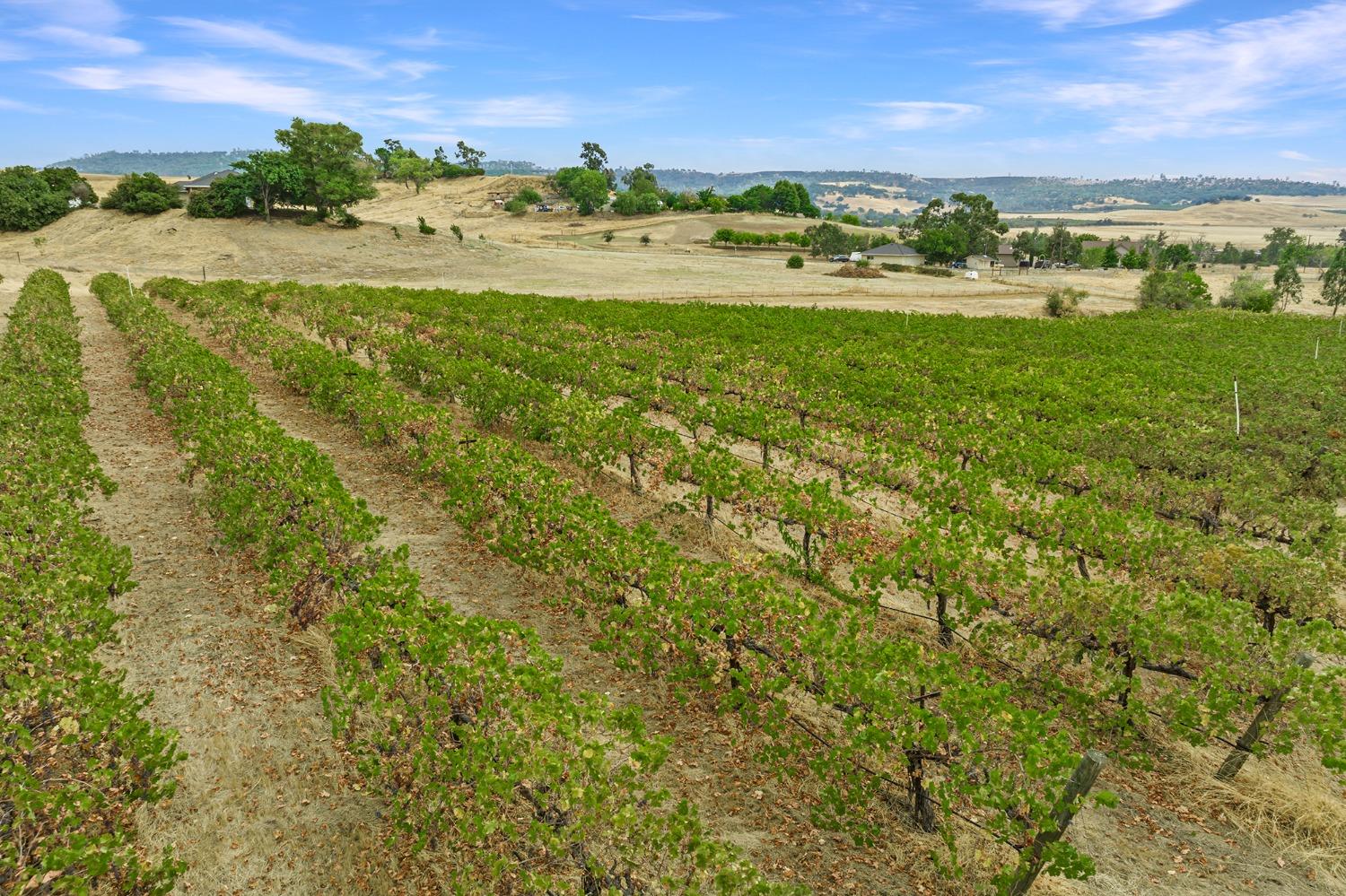 Photo of 4386 Ne Woodrose in Butte Valley, CA