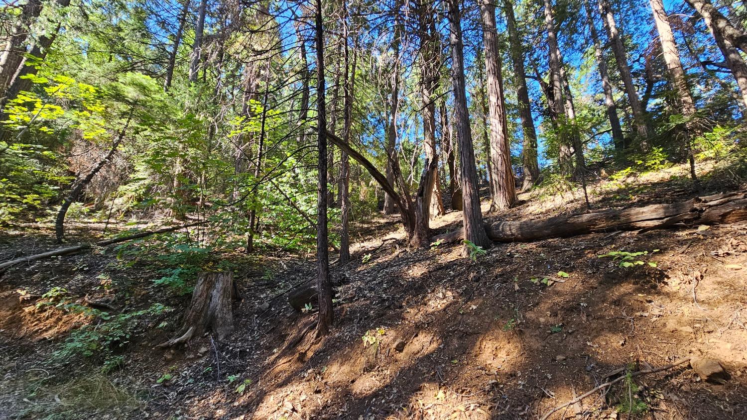 Lot 46 Saint John Road, Pollock Pines, California image 8