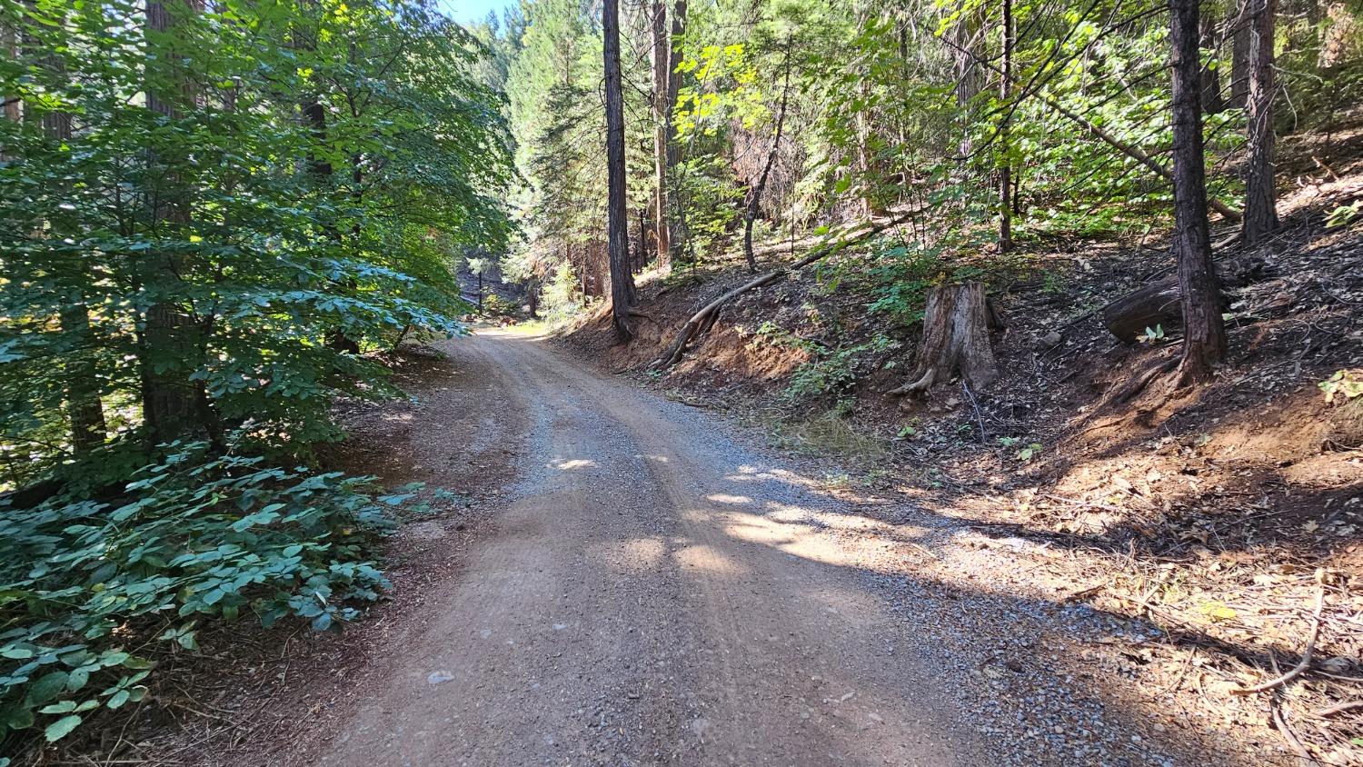 Lot 46 Saint John Road, Pollock Pines, California image 6