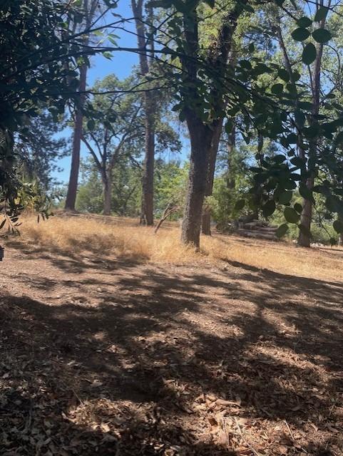 Photo of Shady Oak Ln in Diamond Springs, CA