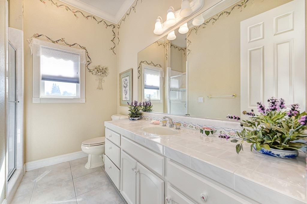 Marina Vista Lane, Fair Oaks, California image 14
