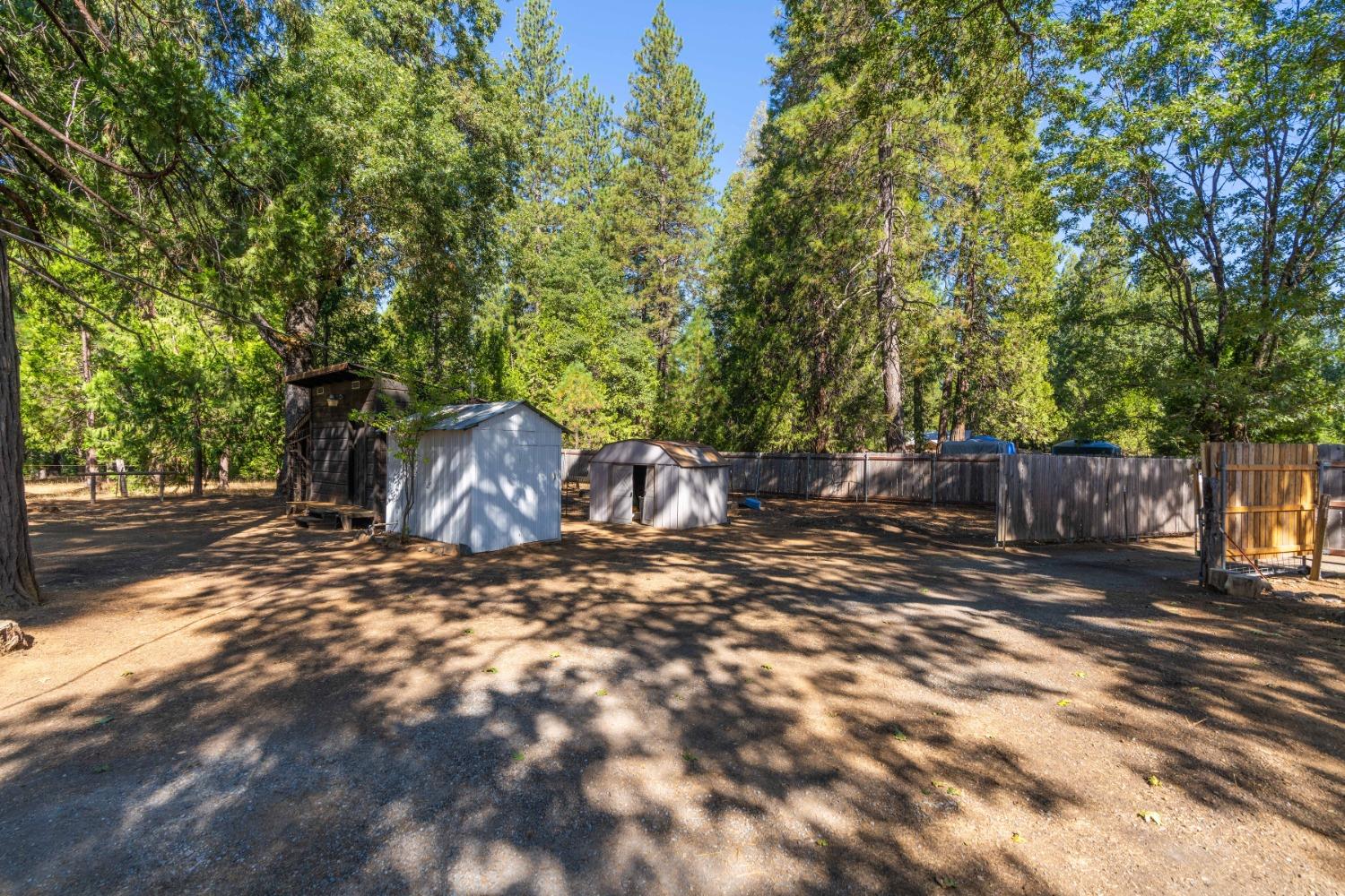 Hofeditz Road, Mokelumne Hill, California image 50