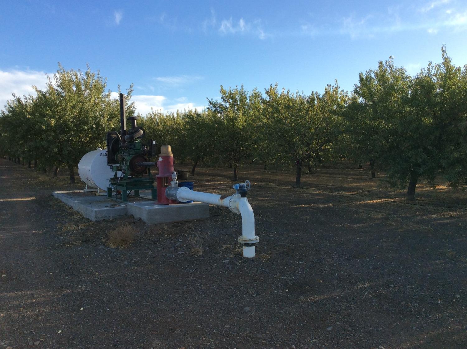 Road 89, Esparto, California image 10