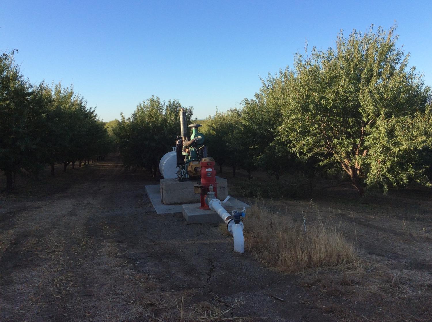 Road 89, Esparto, California image 3