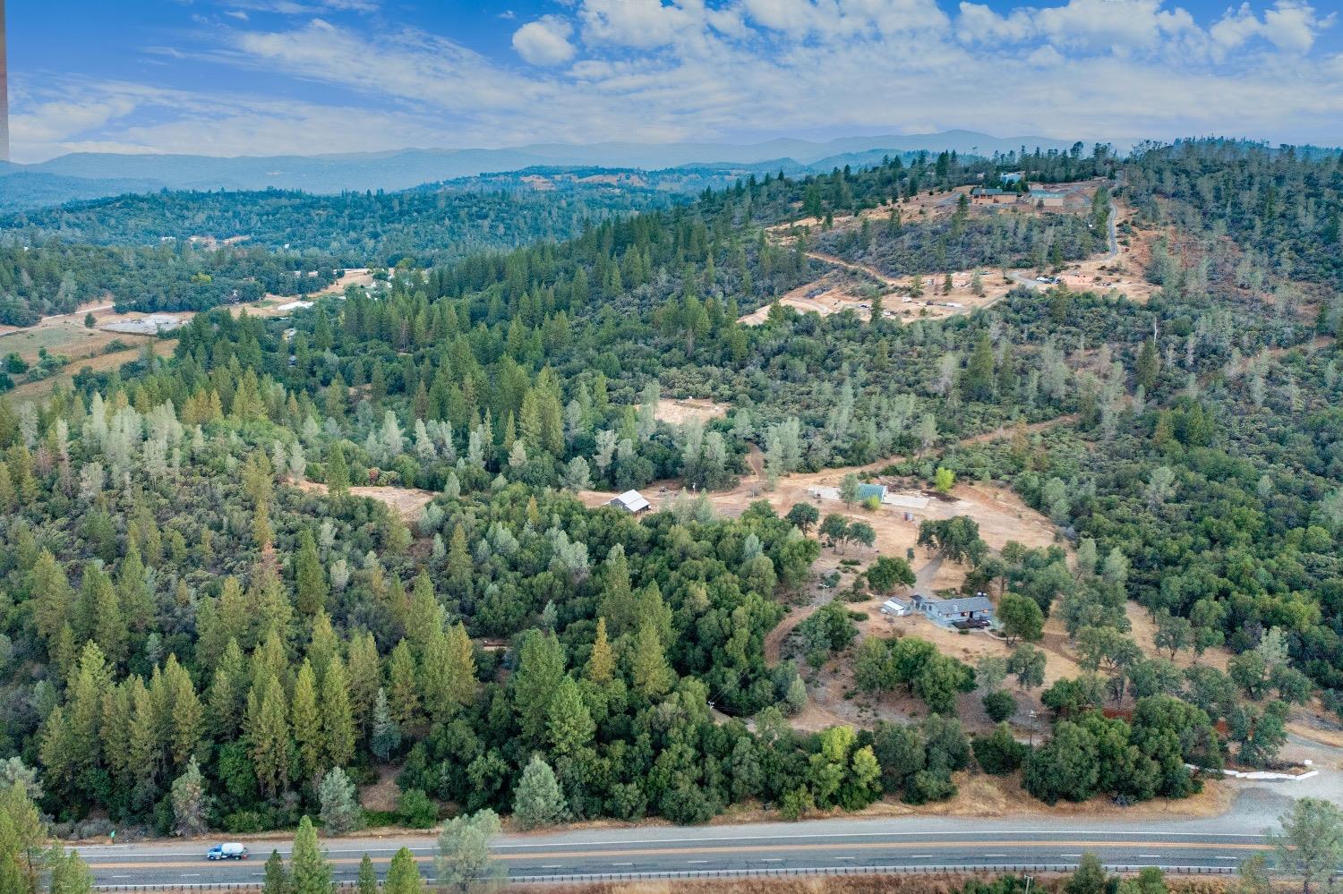 Mushroom Trail, Rough and Ready, California image 6