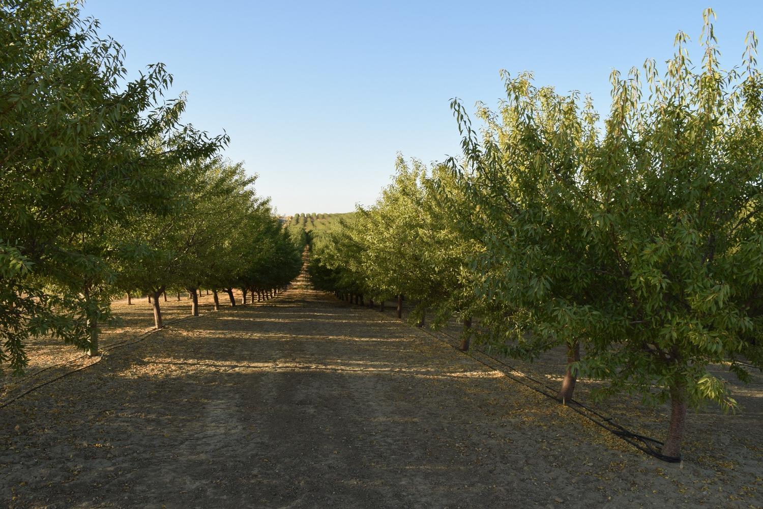 Road 89, Esparto, California image 1