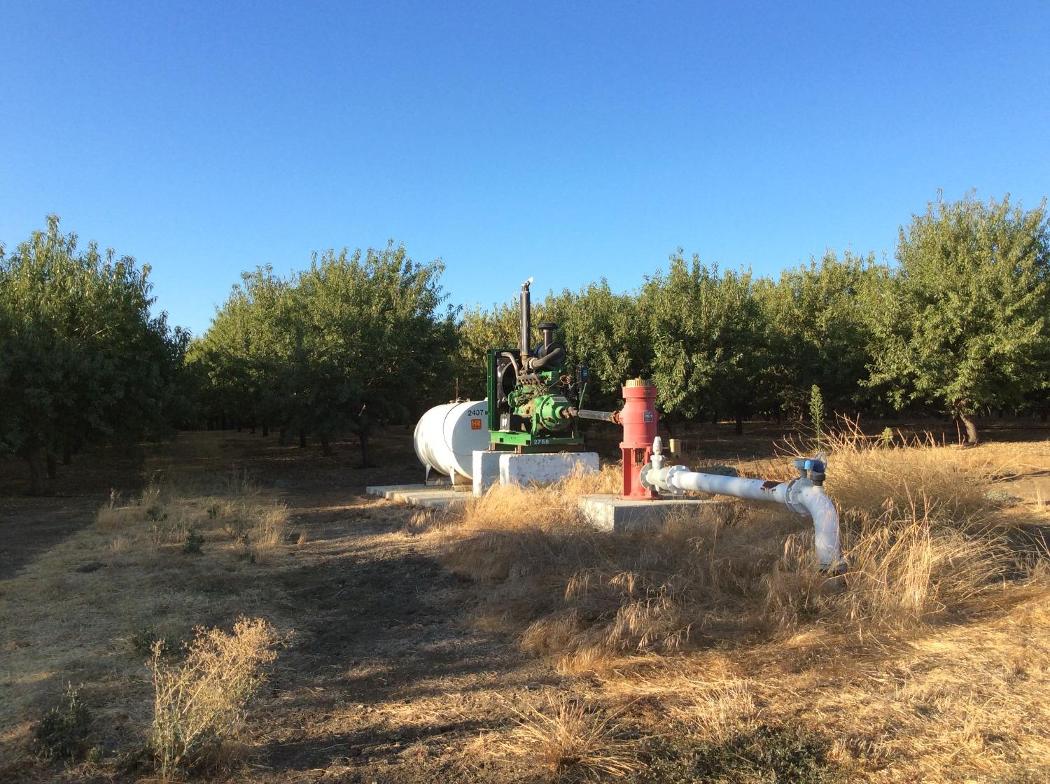 Road 89, Esparto, California image 8