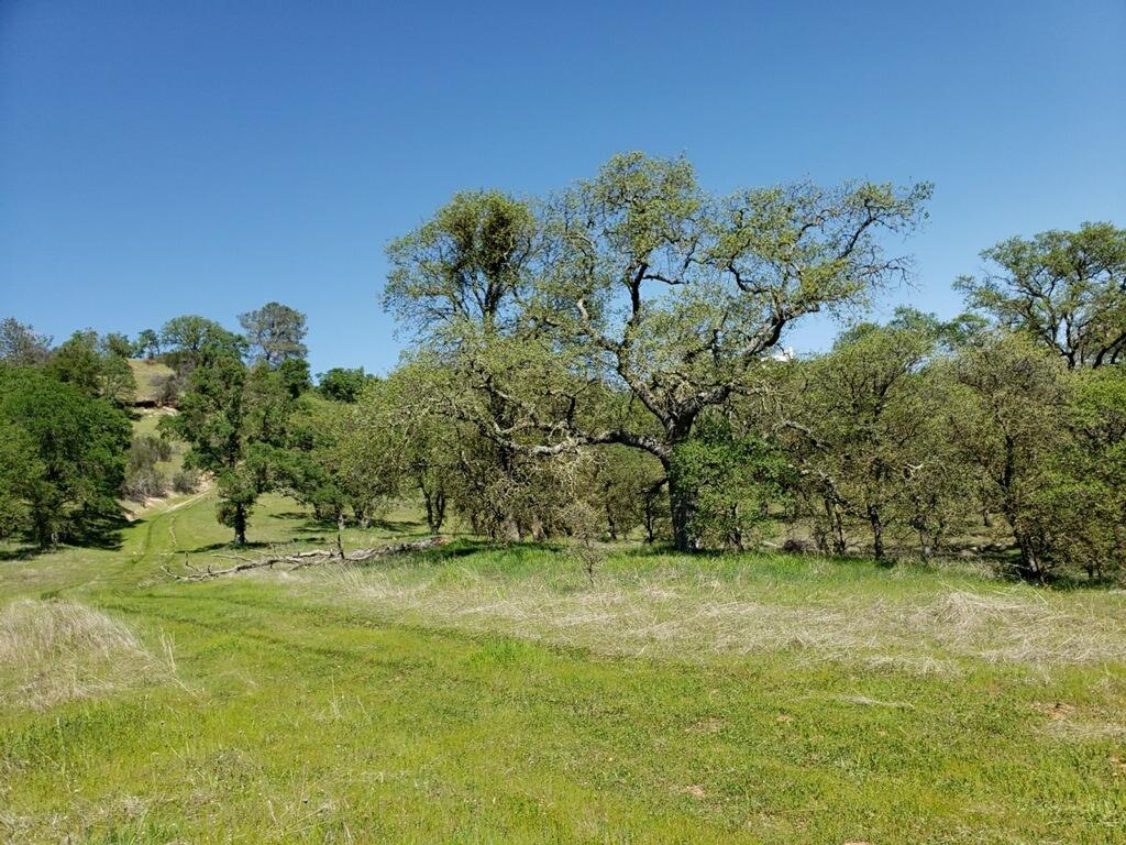 Photo of 22 Acres On Crestview in Valley Springs, CA