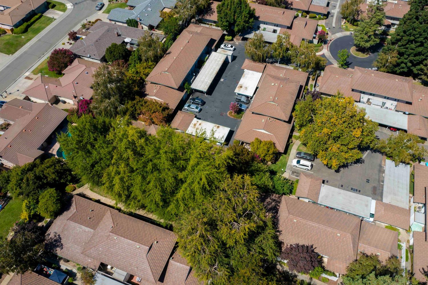 Photo #37: 223073103 Listing: Photo #37