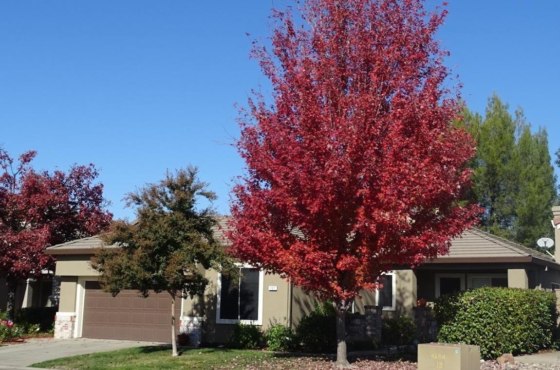 Photo of 101 Hemingway Ct in Roseville, CA