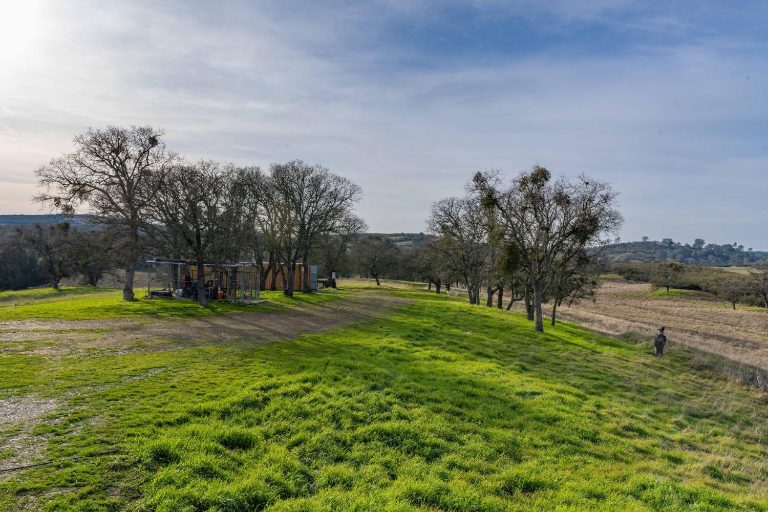 Hogan Dam Road, Valley Springs, California image 8