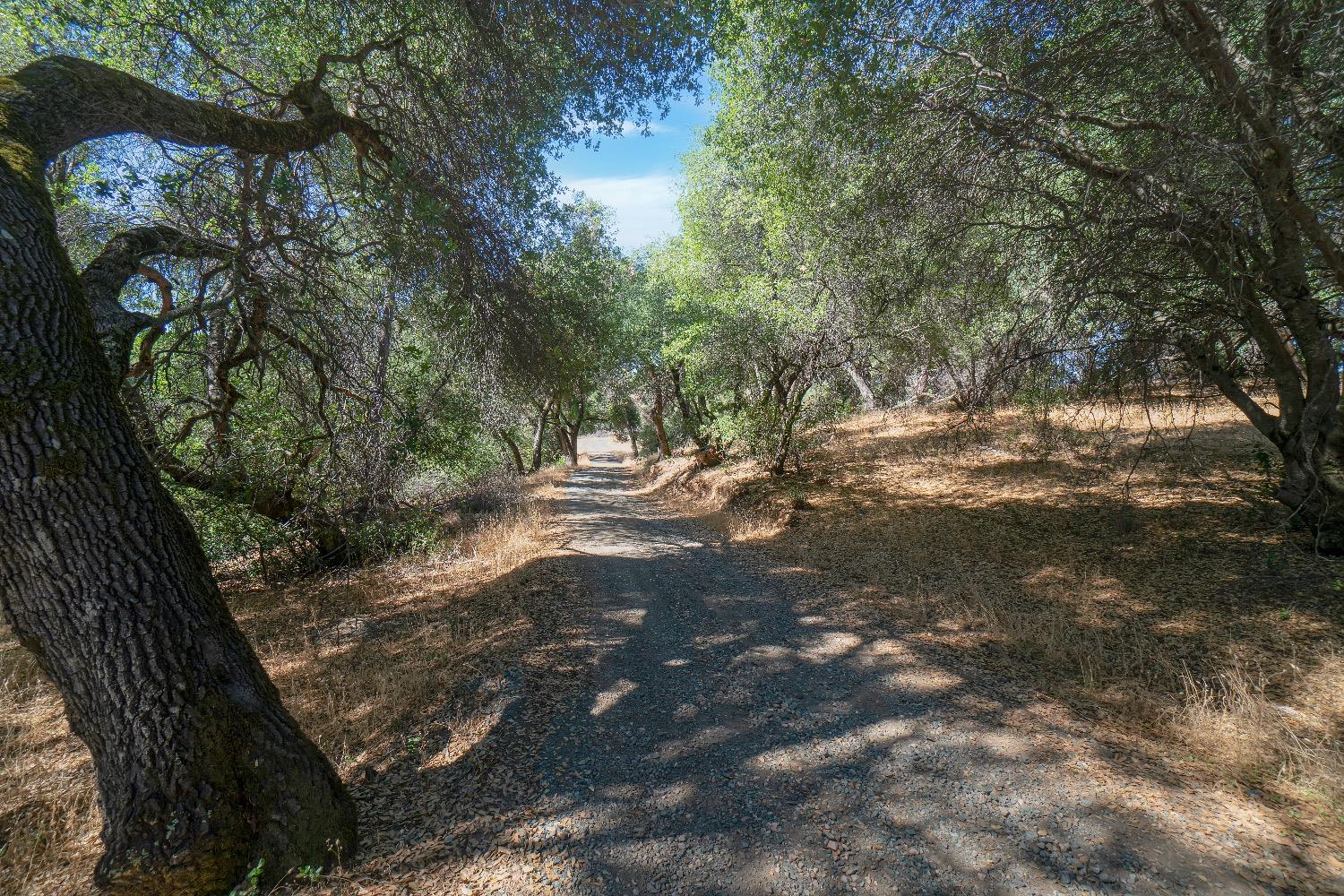 Bertone Road, Fiddletown, California image 27