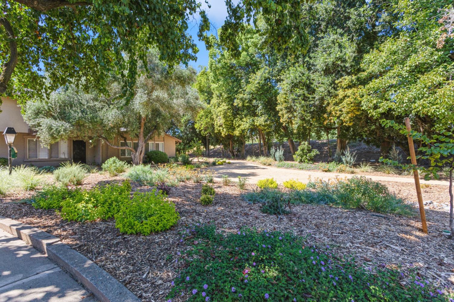 Photo #26: 223083967 Listing: Photo #26