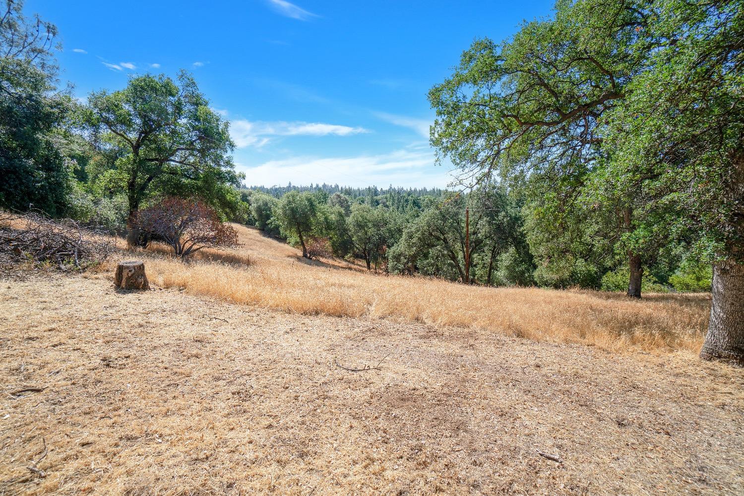 Bertone Road, Fiddletown, California image 23