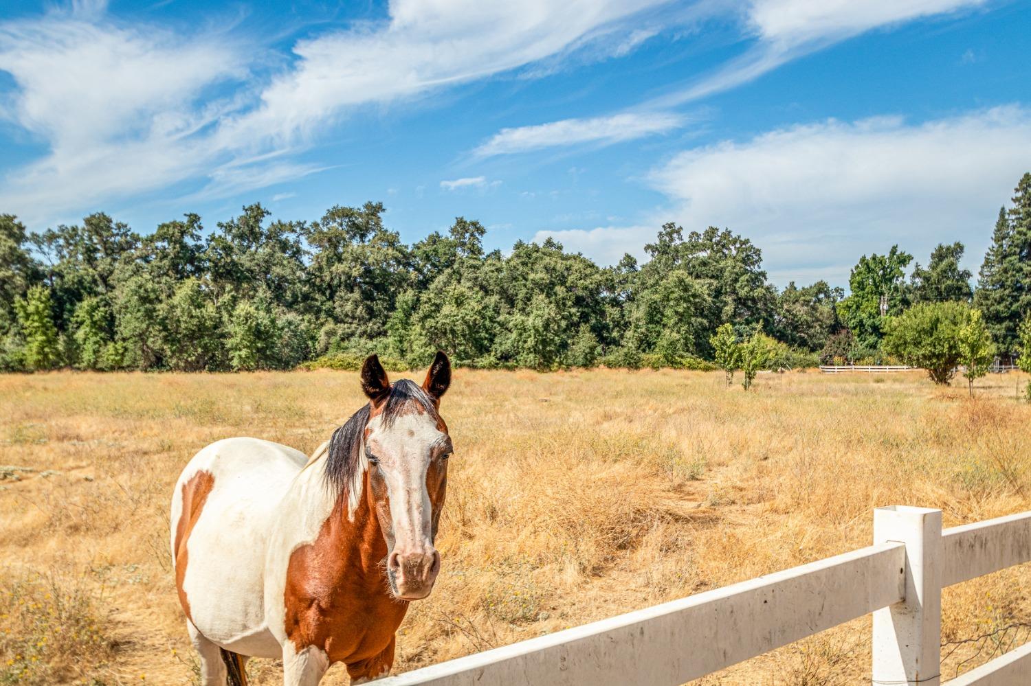 Holly Oak Court #LOT5, Roseville, California image 37