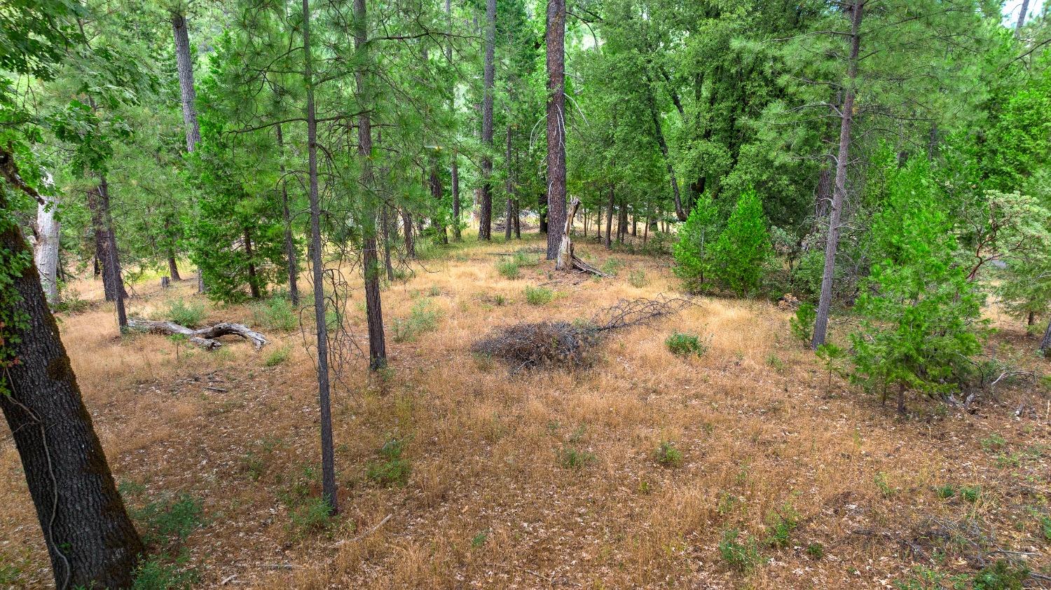 Photo of 18829 Wolf Creek Rd in Grass Valley, CA