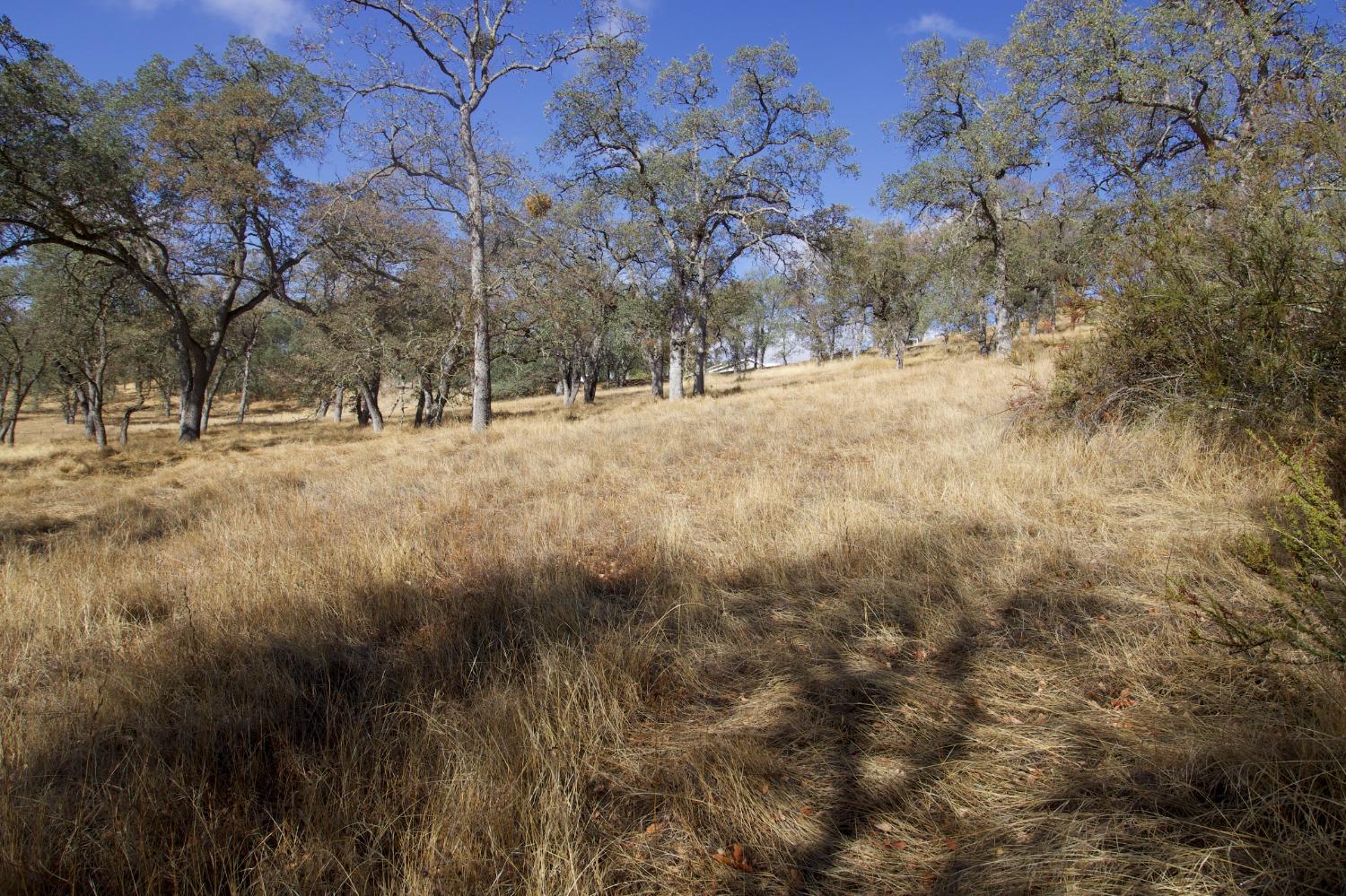 Moore Court, Valley Springs, California image 18