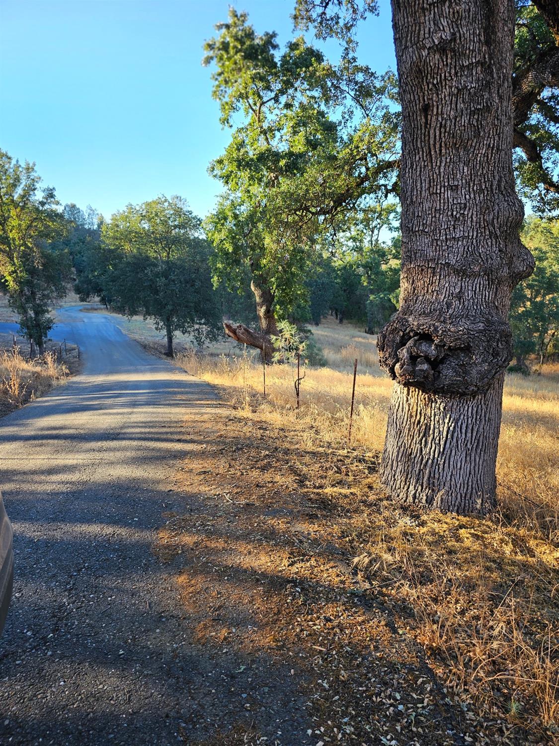 Detail Gallery Image 12 of 21 For 0 Trails End Dr, Placerville,  CA 95667 - – Beds | – Baths