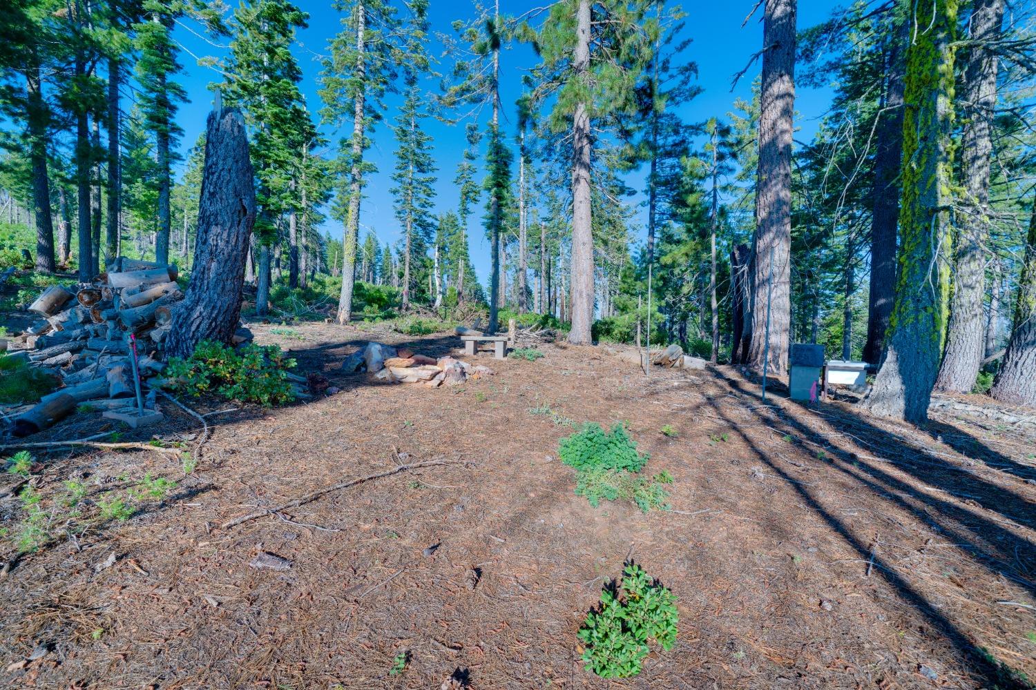 Detail Gallery Image 16 of 55 For 0 75 Acres East of Foresthill, Emigrant Gap,  CA 95715 - – Beds | – Baths