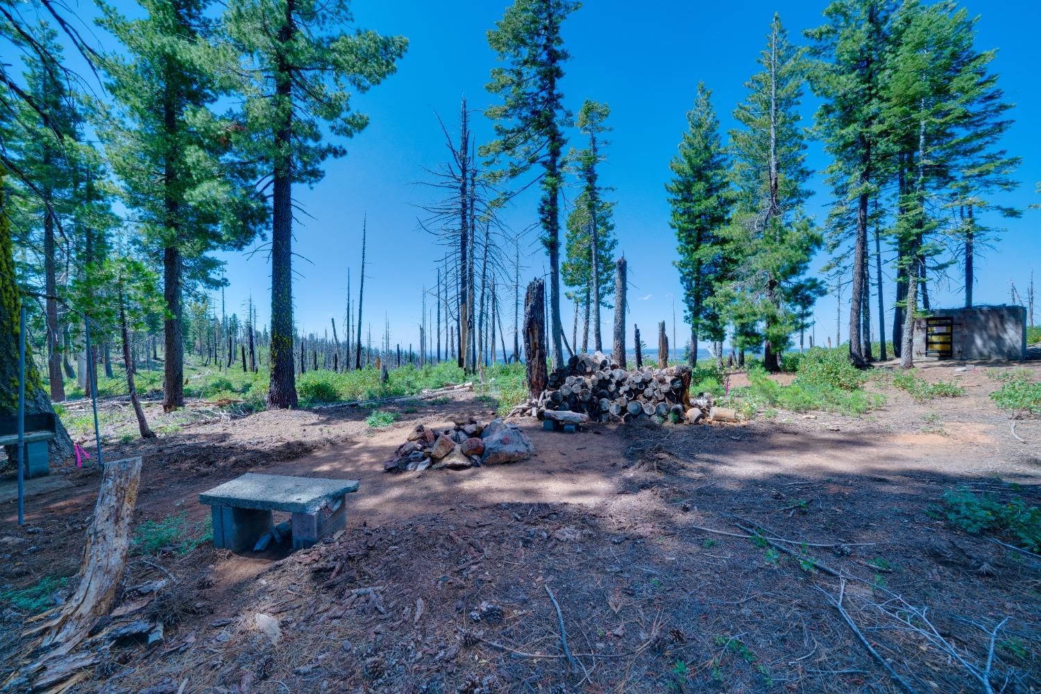 Detail Gallery Image 13 of 55 For 0 75 Acres East of Foresthill, Emigrant Gap,  CA 95715 - – Beds | – Baths