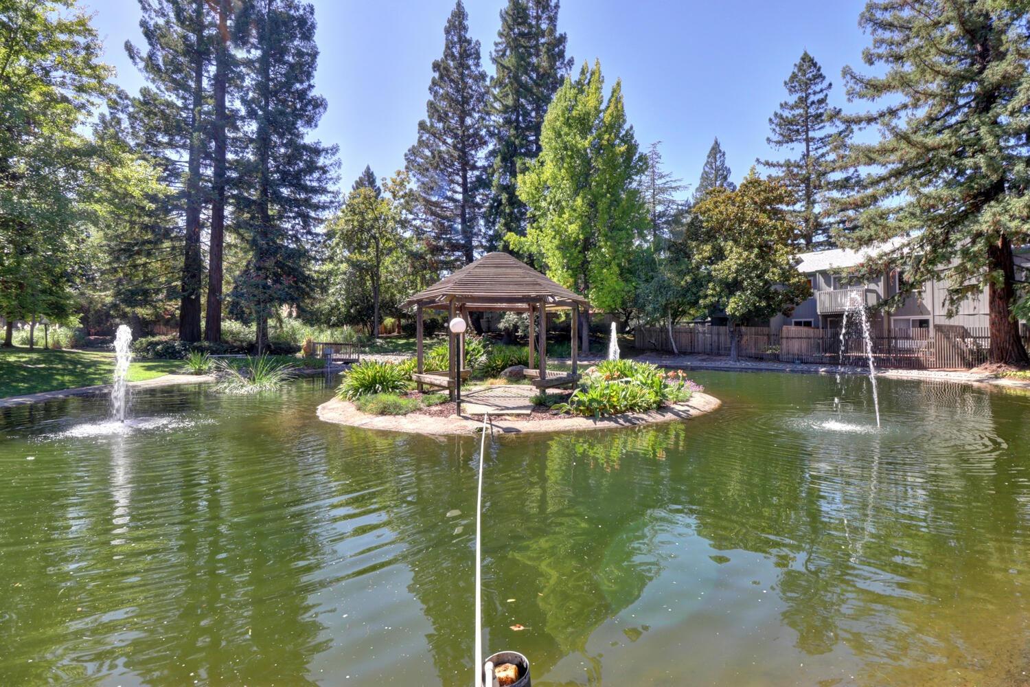 Photo #37: 223086758 Listing: Photo #37