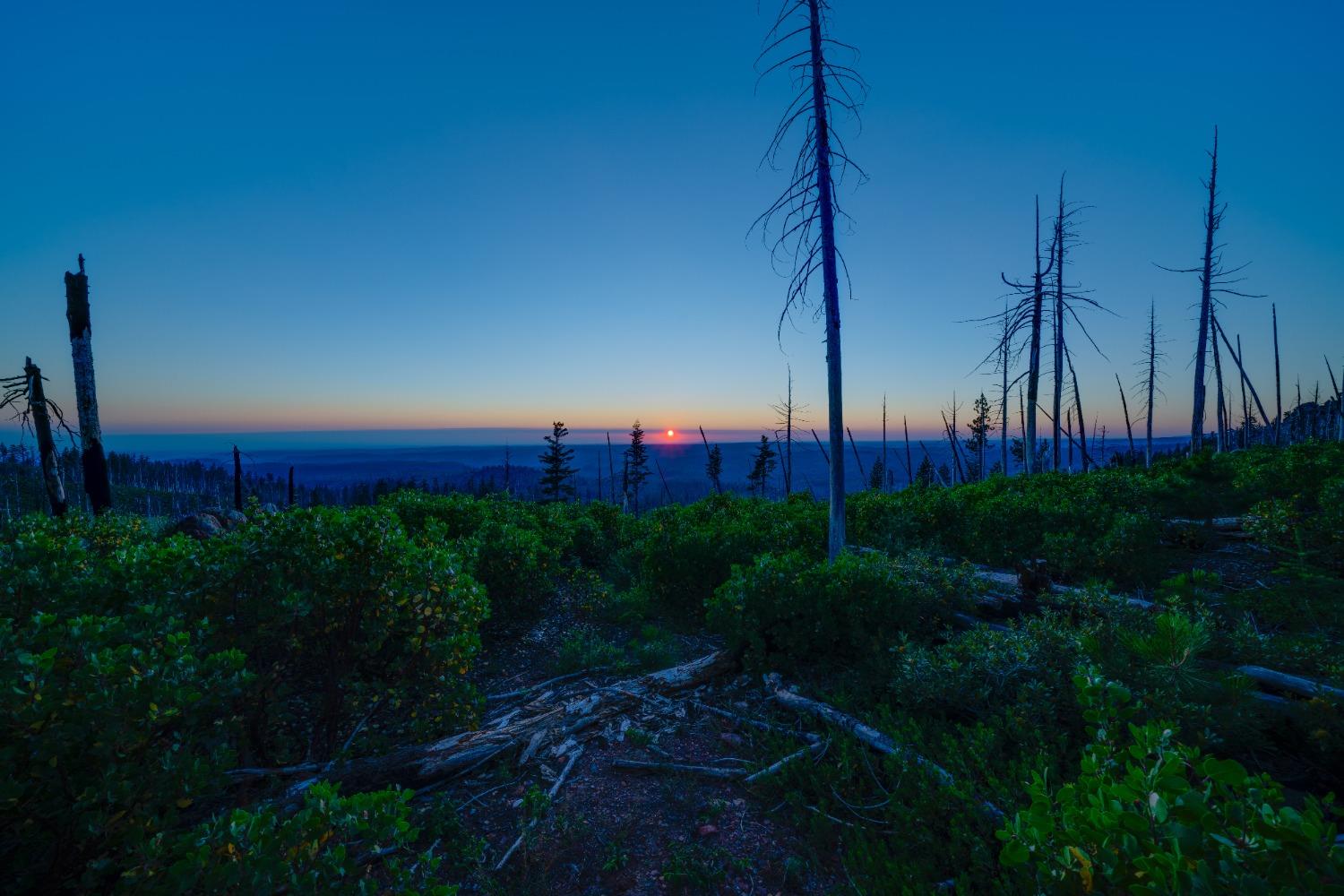 75 Acres East Of Foresthill, Emigrant Gap, California image 6