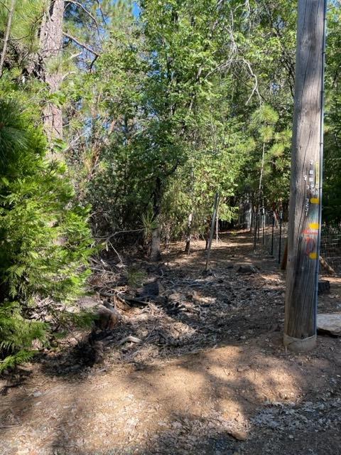 Photo of 3205 Buckeye Ct in Placerville, CA