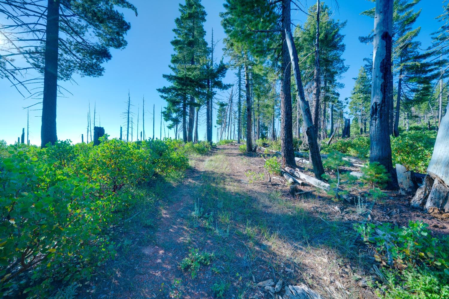 Detail Gallery Image 47 of 55 For 0 75 Acres East of Foresthill, Emigrant Gap,  CA 95715 - – Beds | – Baths