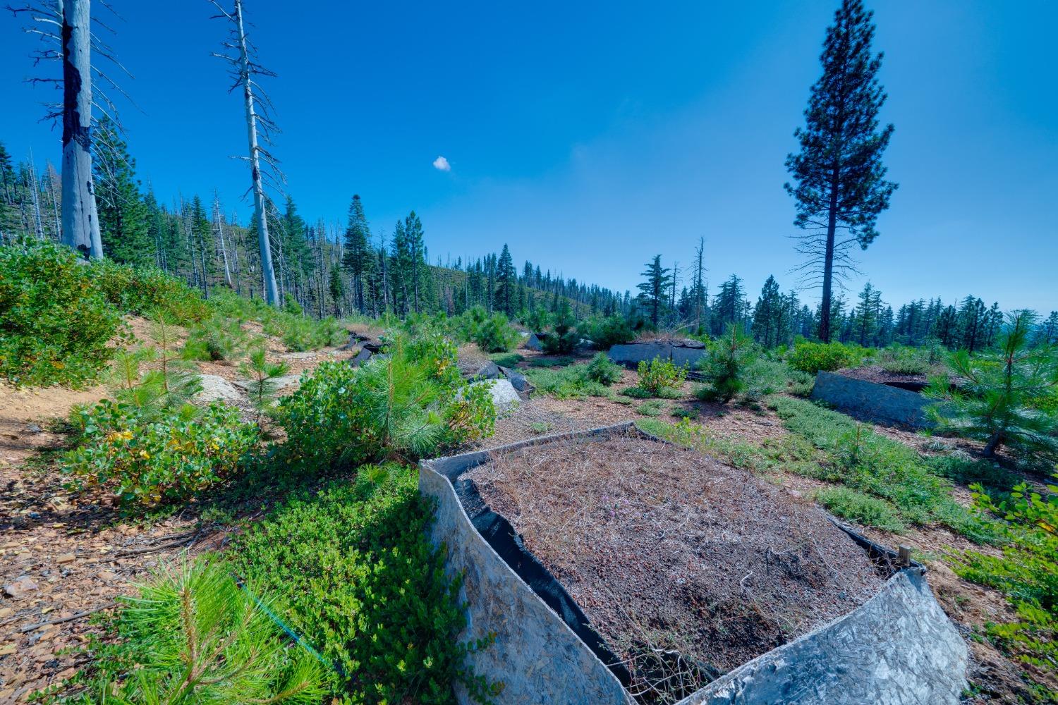 Detail Gallery Image 31 of 55 For 0 75 Acres East of Foresthill, Emigrant Gap,  CA 95715 - – Beds | – Baths