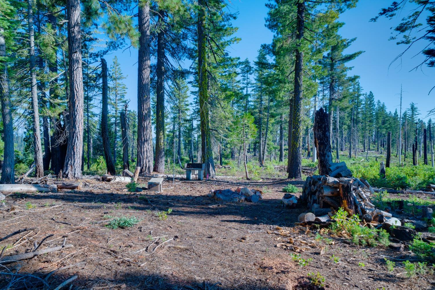 75 Acres East Of Foresthill, Emigrant Gap, California image 15