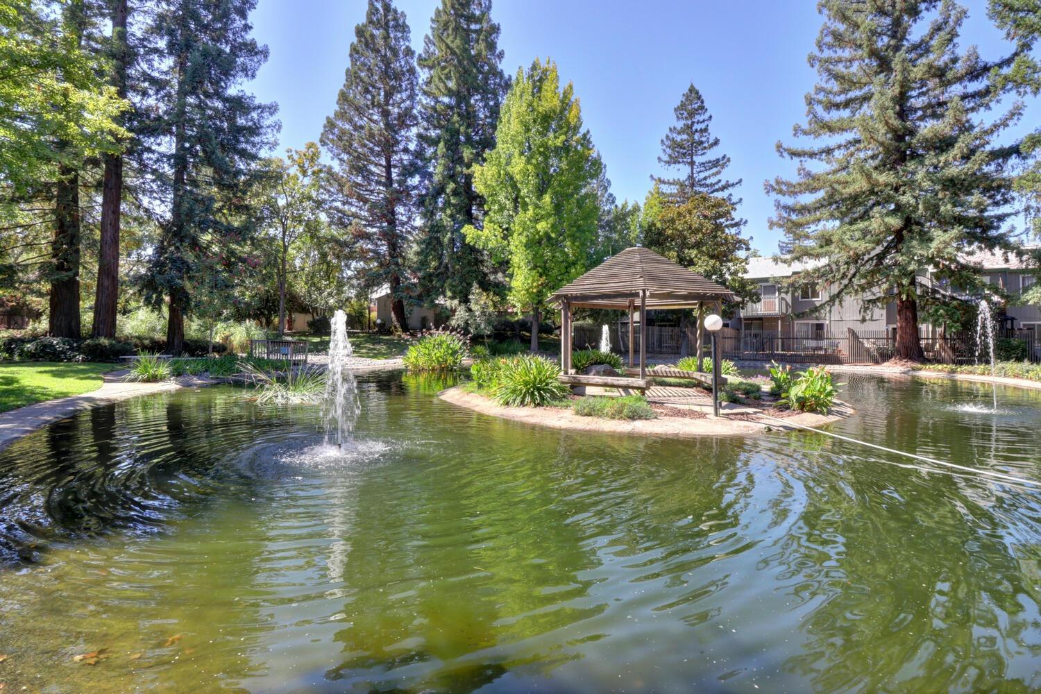 Photo #38: 223086758 Listing: Photo #38