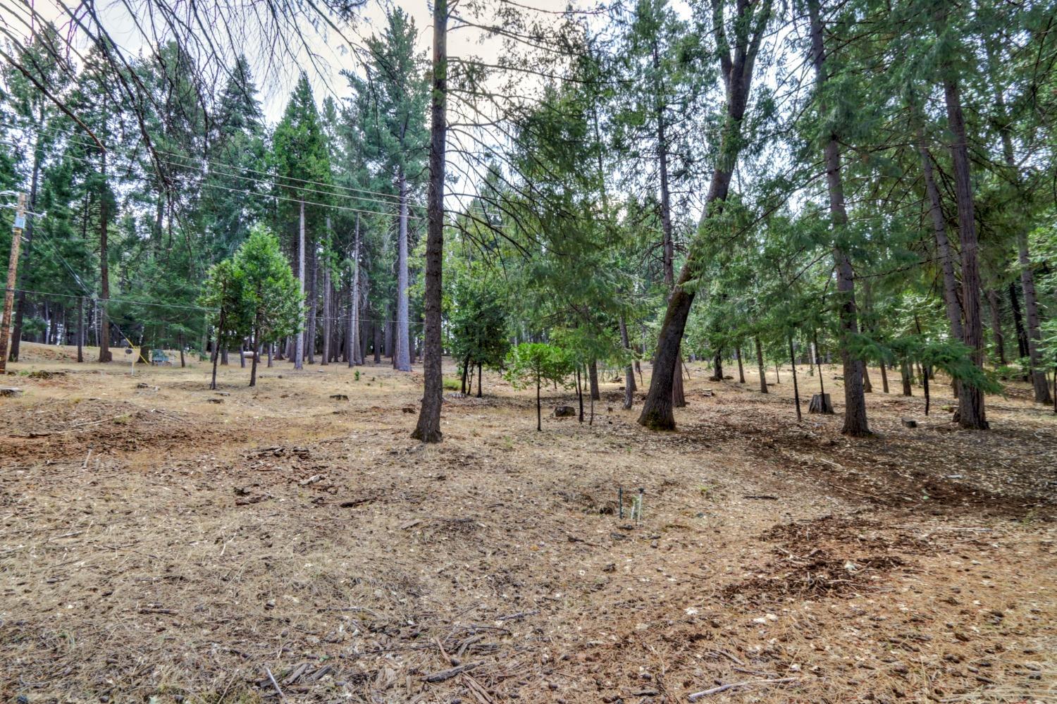 Sierra Springs Dr, Pollock Pines, California image 46