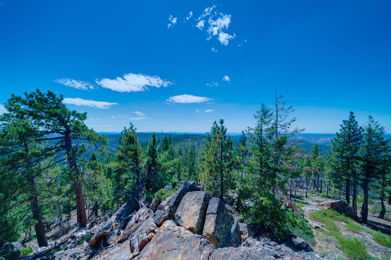 75 Acres East Of Foresthill, Emigrant Gap, California image 21