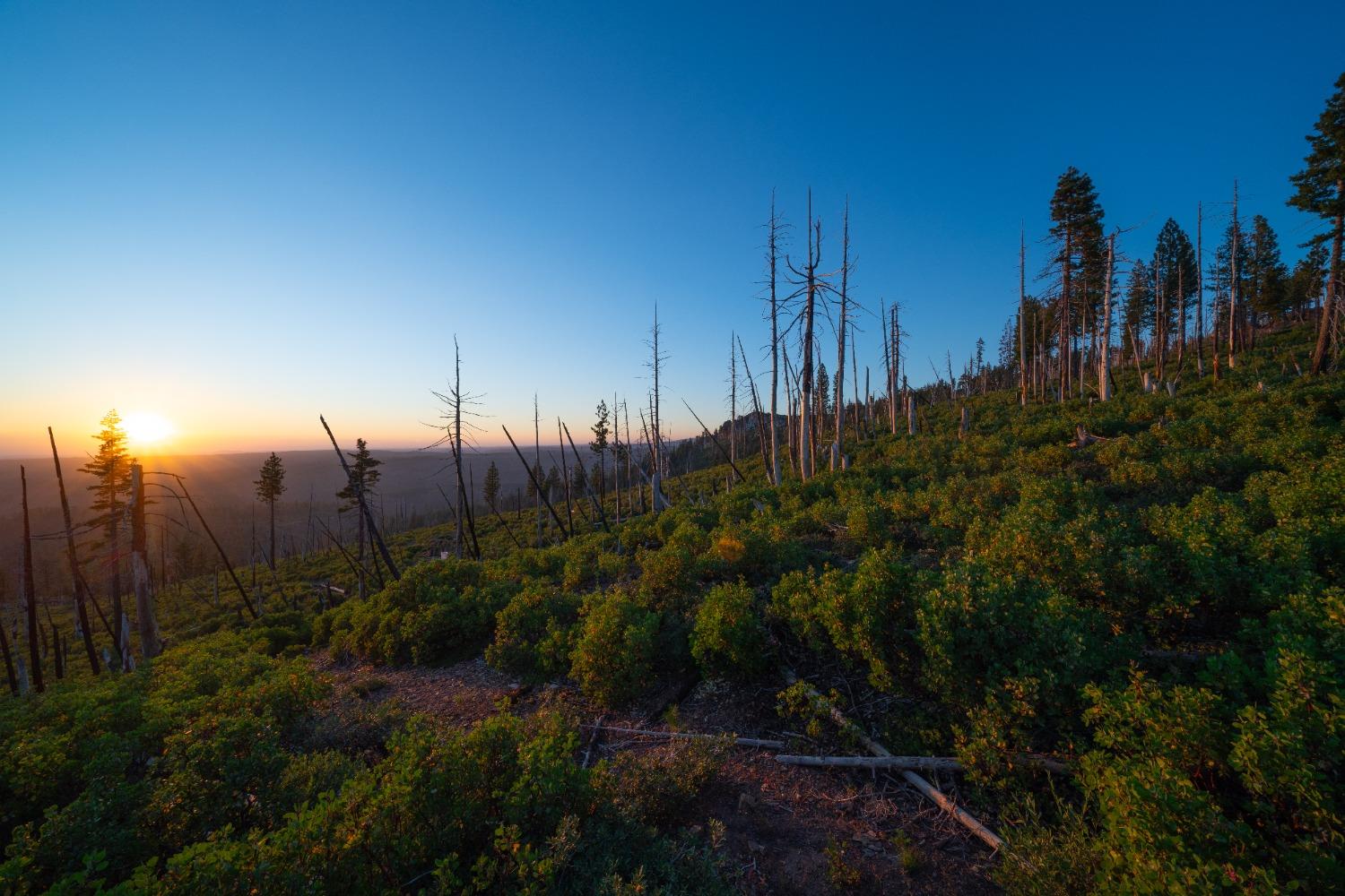 75 Acres East Of Foresthill, Emigrant Gap, California image 2